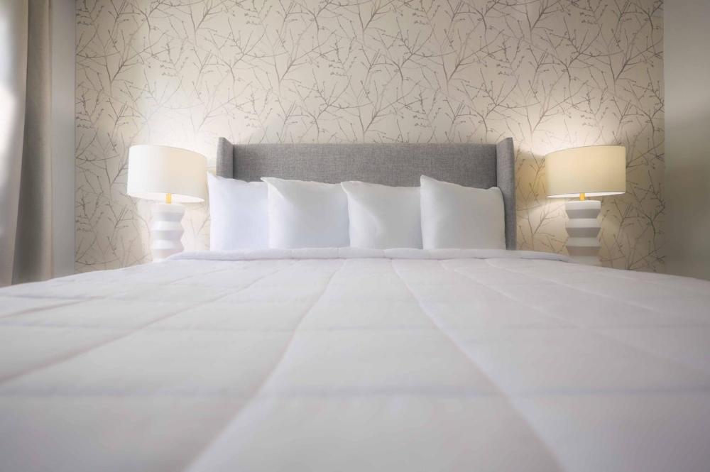 Queen Room - Disability Access interior