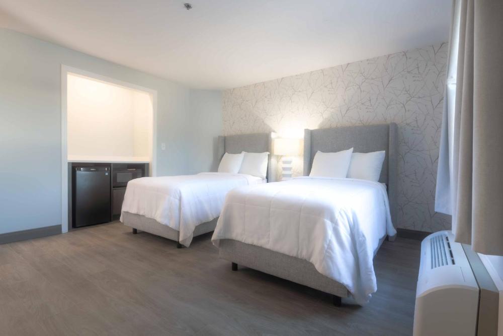 Deluxe Twin Room interior
